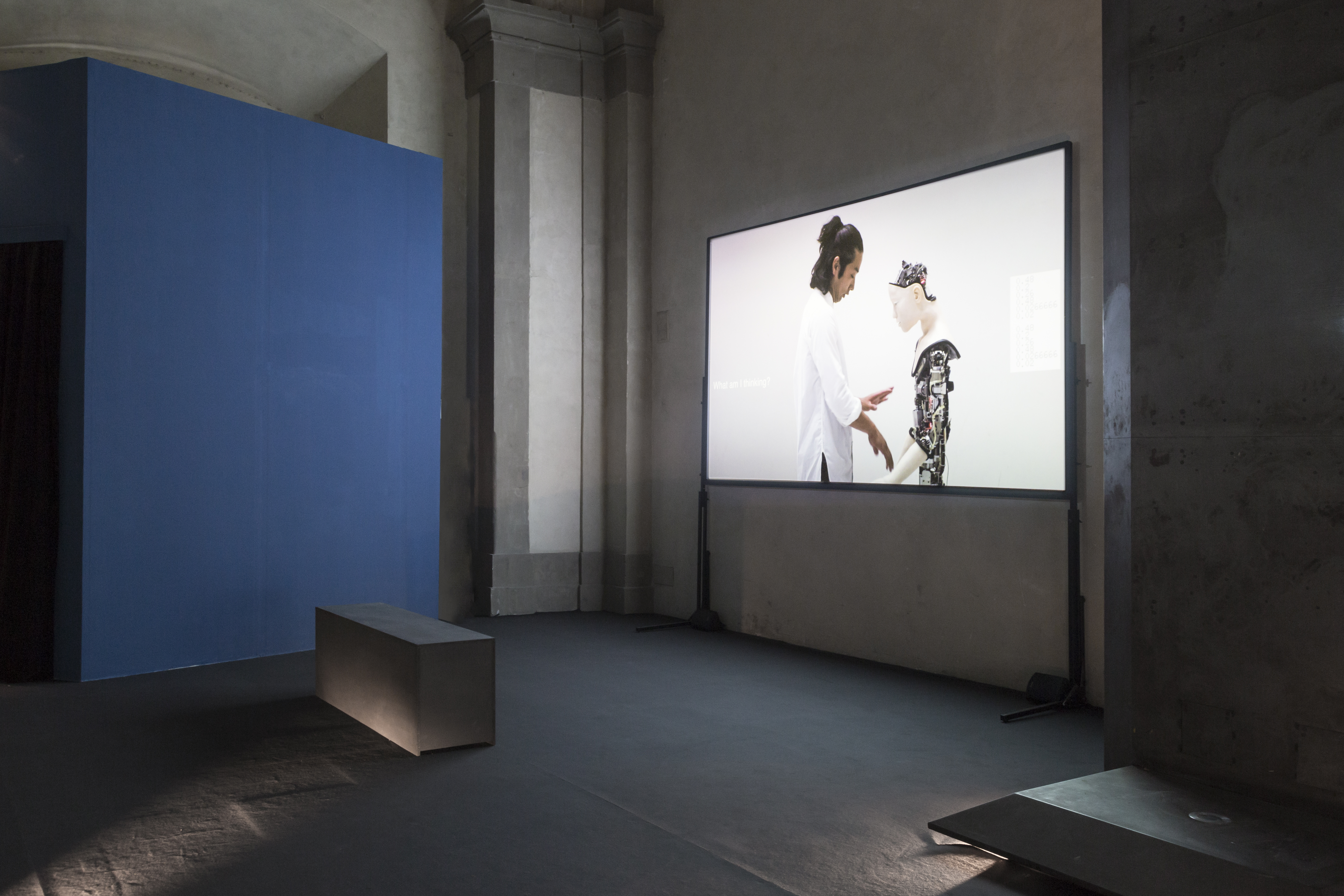 « Directing the real. Artists’ film and video in the 2010s », Palazzo Medici Ricardi, Firenze, Italy