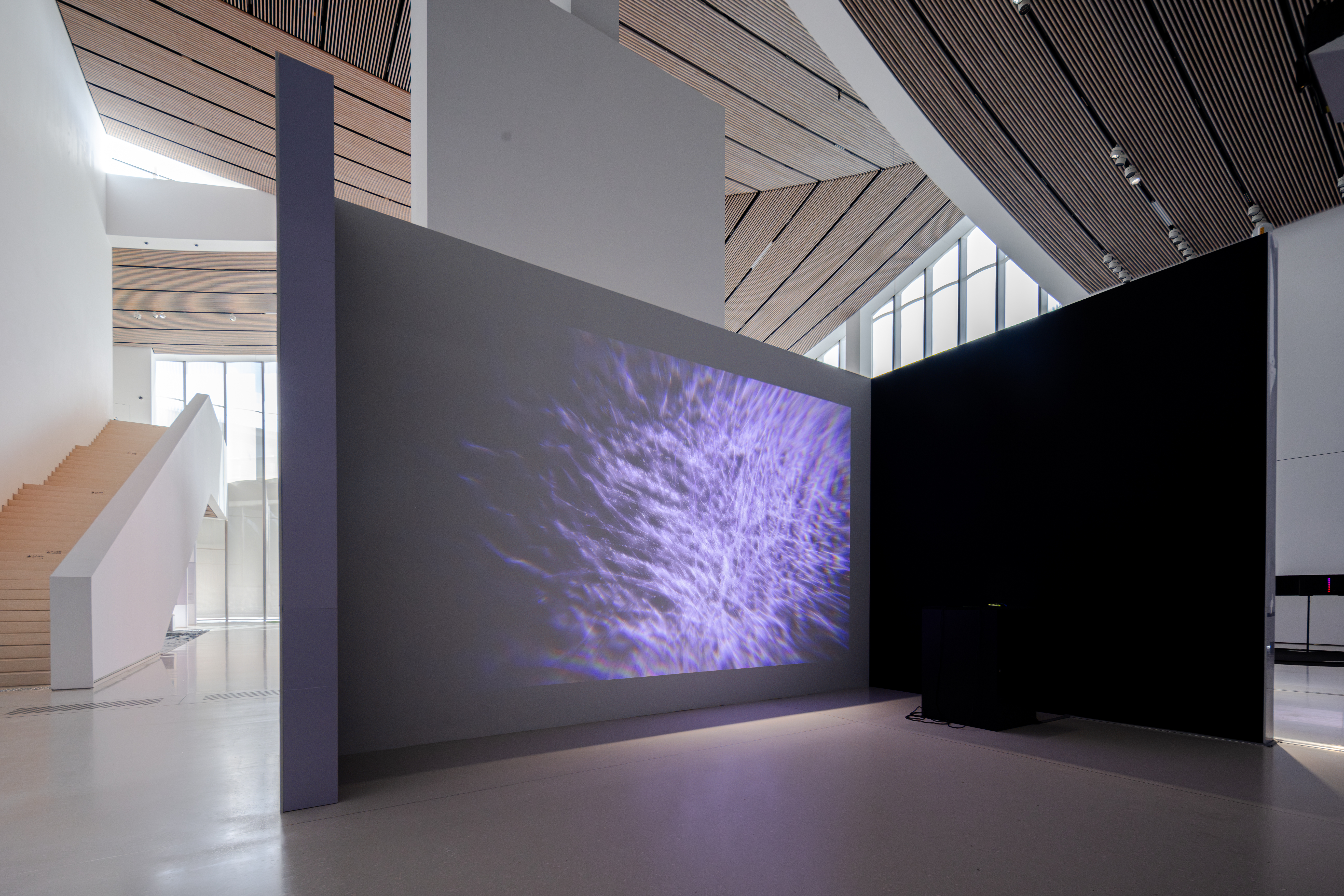 Codes & Canopies. Art Beyond the Age of Algorithms, Suzhou MoCA, China – curated by the ZKM